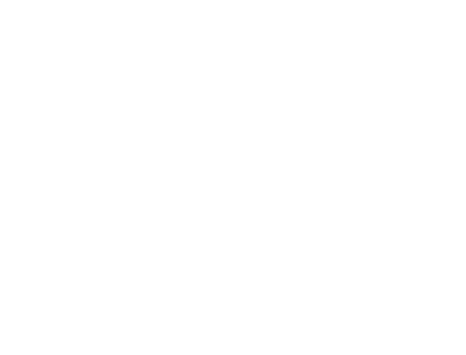 MissionTwin Logo